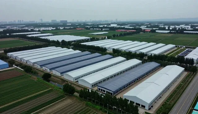 广州市保全电子科技有限公司介绍行业定制服务服务案例